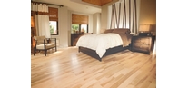 Yellow Birch Exclusive