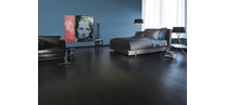 Maple Graphite
