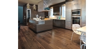American Walnut Knotty Savanna