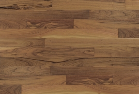 American Walnut 