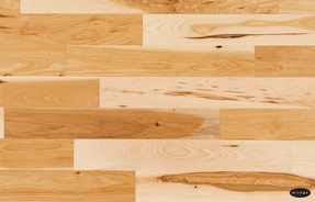 Hickory
