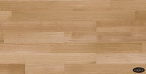 White Oak